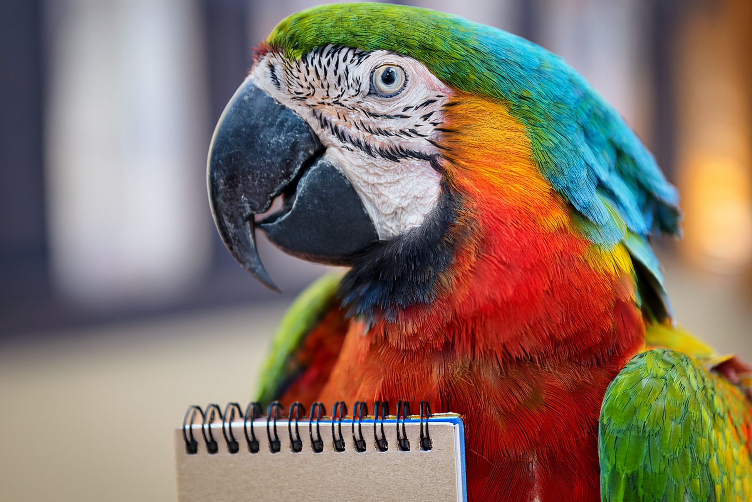 a parrot holding a reporter's notebook
